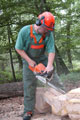 Click to see it big Ich mit Kettensäge, Impression aus dem Wald